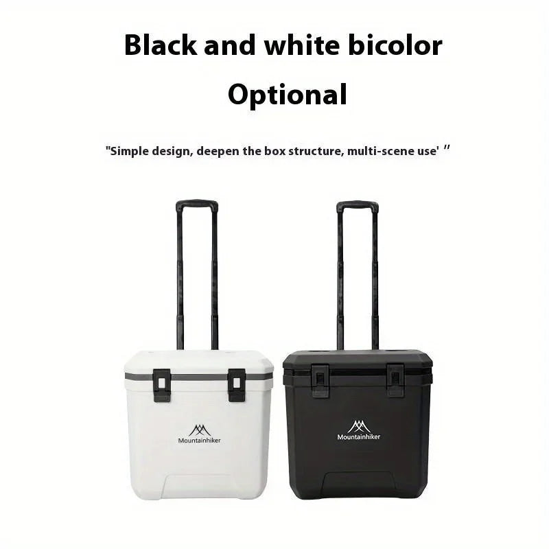 Car Insulated Refrigerator 38L  